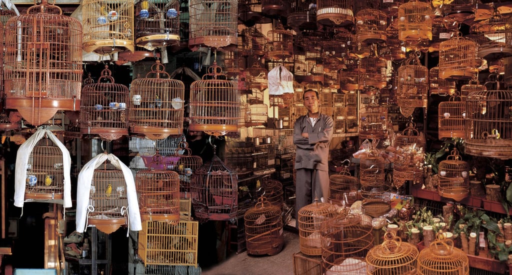 A shop at the old Mong Kok bird market. Photo: Frank Fischbeck A shop at the old Mong Kok bird market. Photo: Frank Fischbeck