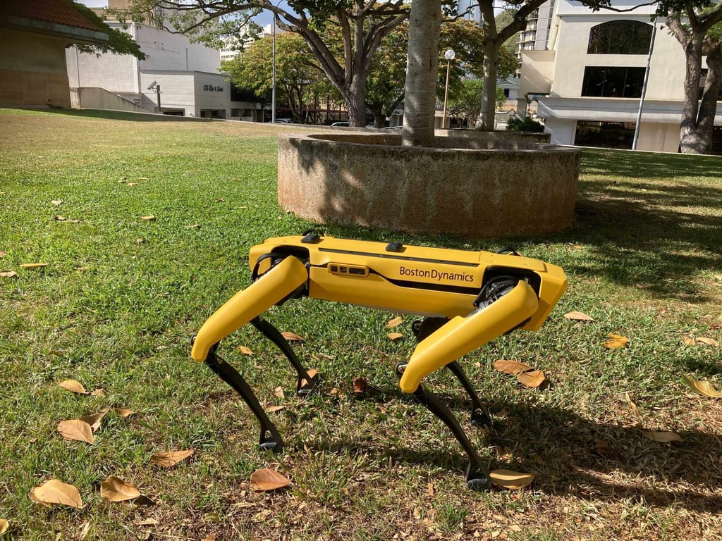 Spot, a robotic police dog in Honolulu, Hawaii, stands outside the department headquarters. Photo: AP/Jennifer Sinco Kelleher