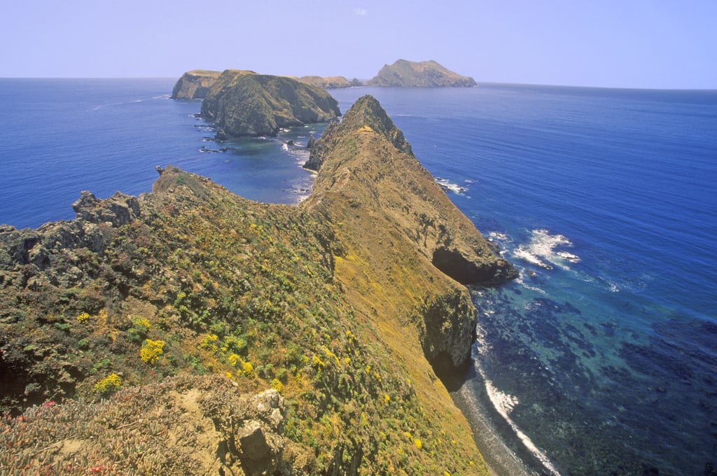 Inspiration Point on Anacapa Island, California, where Rob Puddicombe sought to prevent the extermination of invasive rats. Photo: Getty Images Inspiration Point on Anacapa Island, California, where Rob Puddicombe sought to prevent the extermination of invasive rats. Photo: Getty Images