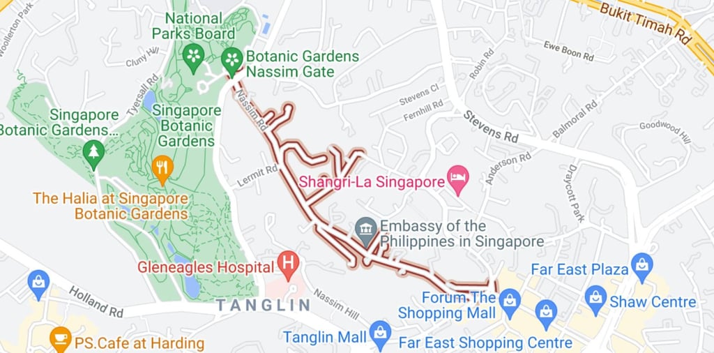 Nassim Road is located near Singapore’s Botanic Gardens. Photo: Google Maps Nassim Road is located near Singapore’s Botanic Gardens. Photo: Google Maps