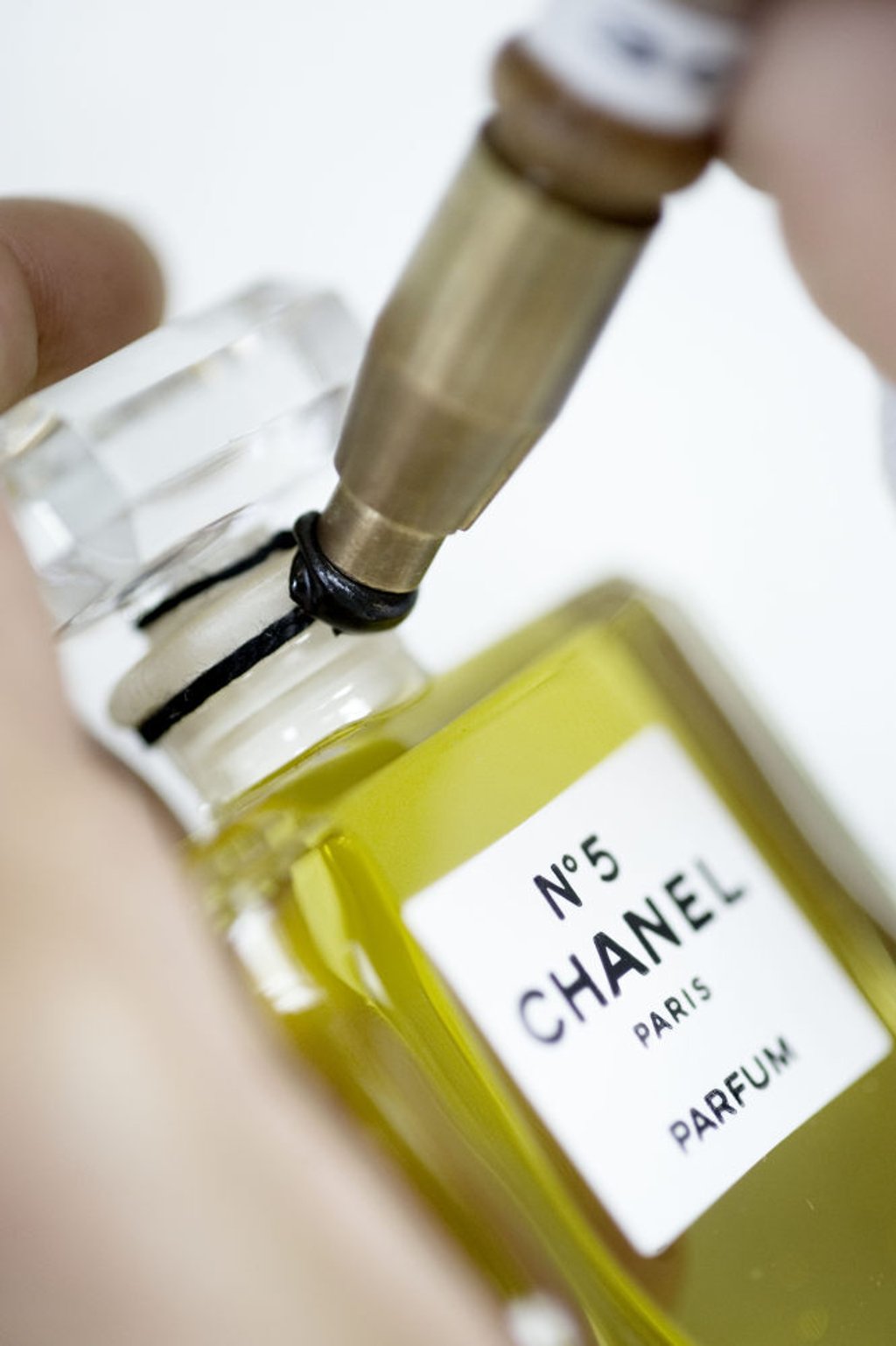 Without French jasmine Chanel N 5 perfume wouldn t exist which is why the luxury brand is buying up fields to safeguard its bestselling scent South China Morning Post