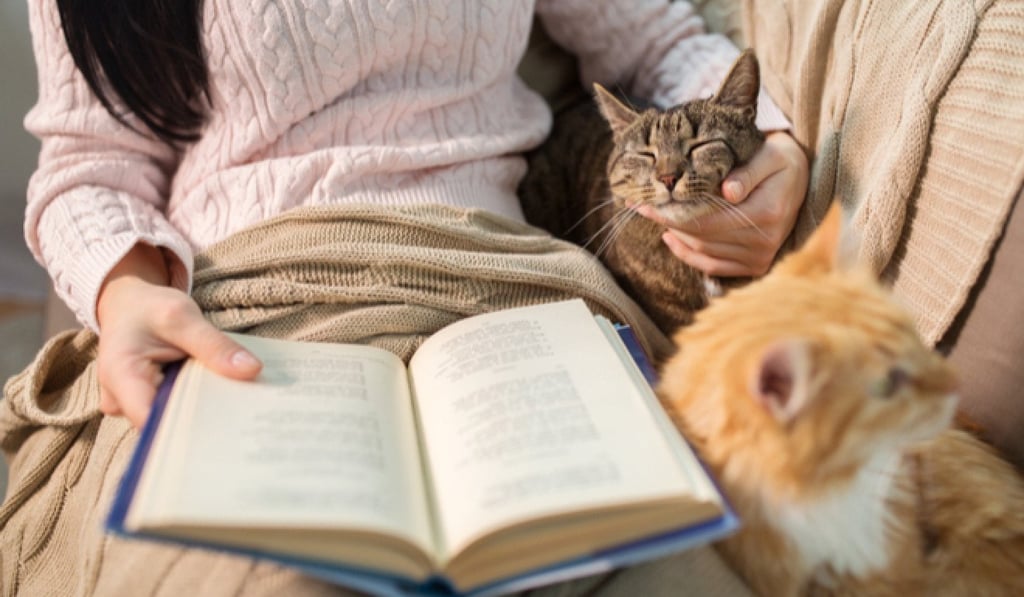 Stroking a pet can activate the release of oxytocin in the brain, which contributes to well-being and ability to handle stress. Photo: Shutterstock Stroking a pet can activate the release of oxytocin in the brain, which contributes to well-being and ability to handle stress. Photo: Shutterstock