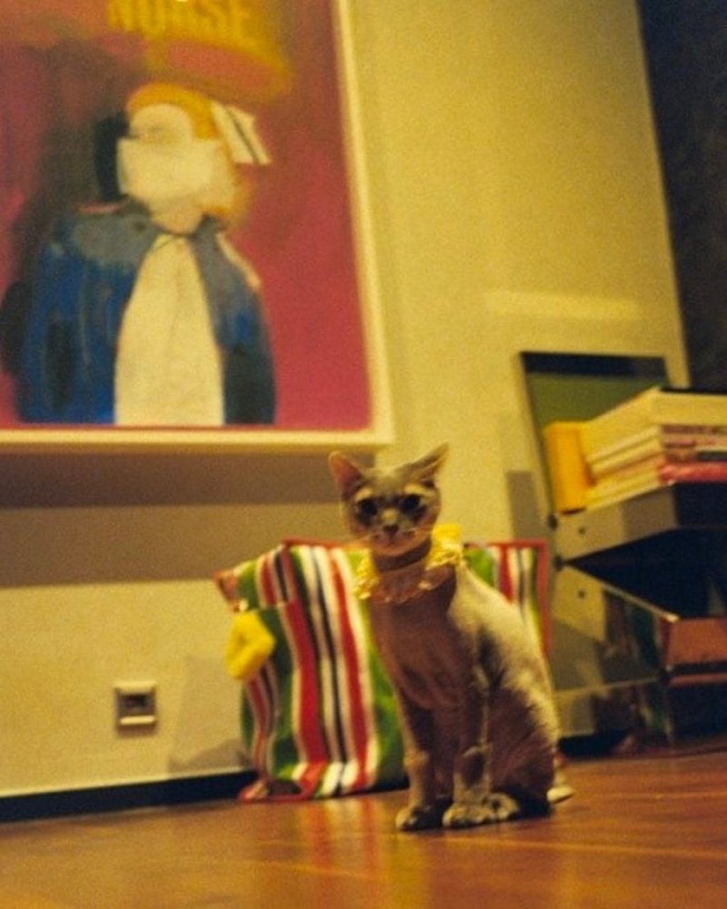 The artworks around G-Dragon’s house bring life and character – even inspiring his cat, perhaps? Photo: @xxxibgdrgn/Instagram The artworks around G-Dragon’s house bring life and character – even inspiring his cat, perhaps? Photo: @xxxibgdrgn/Instagram