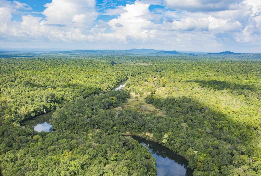 Botum Sakor National Park in the Cardamom Mountains, Cambodia. Botum Sakor National Park in the Cardamom Mountains, Cambodia.