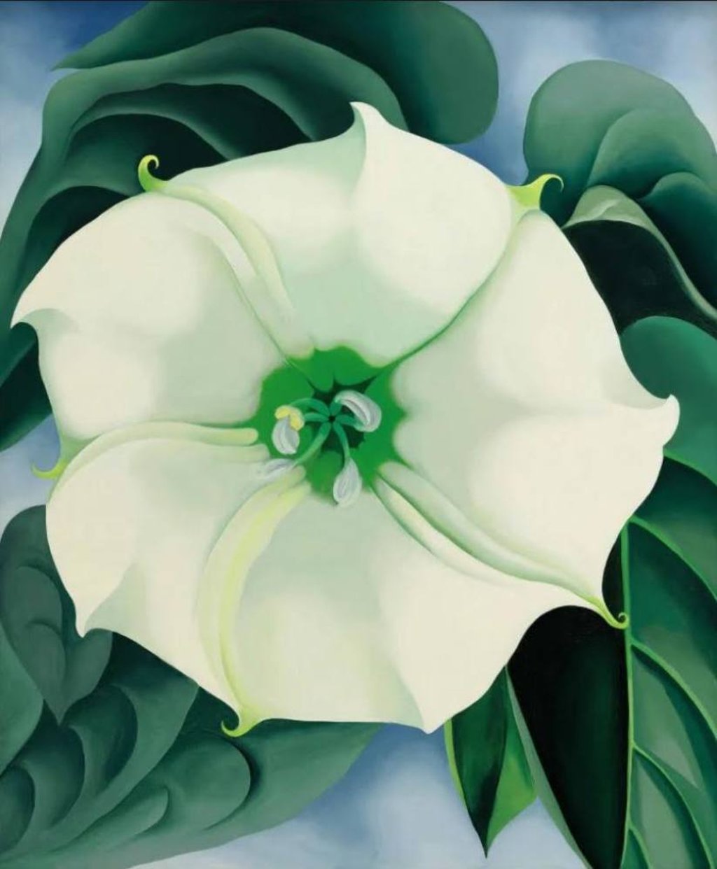 Georgia O’Keeffe’s Jimson Weed/White Flower No 1. Photo: The Observer Georgia O’Keeffe’s Jimson Weed/White Flower No 1. Photo: The Observer