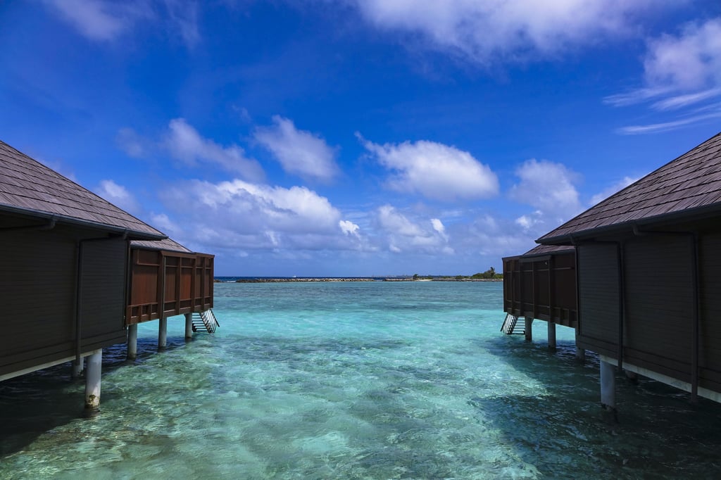 An average of 66 per cent fewer insect species were documented on the tourist islands of the Maldives. Photo: Getty Images