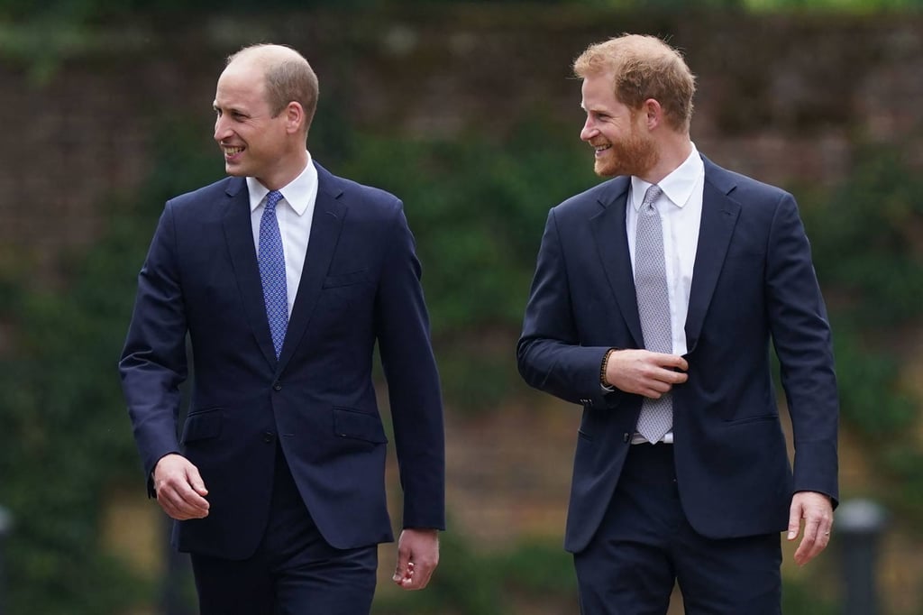 Princes William and Harry inherited three quarters of Diana’s personal property in her will, and continue to advocate for her charities today. Photo: AFP Princes William and Harry inherited three quarters of Diana’s personal property in her will, and continue to advocate for her charities today. Photo: AFP