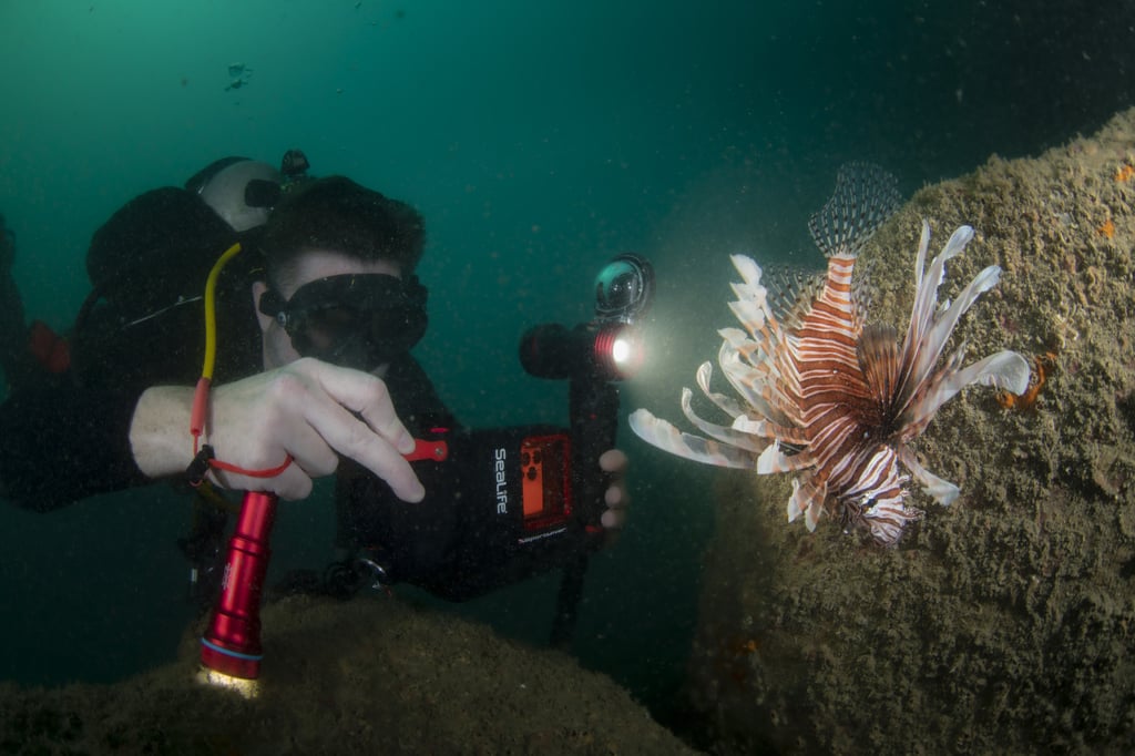 ‘Tent, Tanks … and Trash!’ will be documenting Hong Kong’s coral and fish species as well as conducting dive site clean-ups. Photo: Simon Lorenz/Sai Kung Scuba ‘Tent, Tanks … and Trash!’ will be documenting Hong Kong’s coral and fish species as well as conducting dive site clean-ups. Photo: Simon Lorenz/Sai Kung Scuba