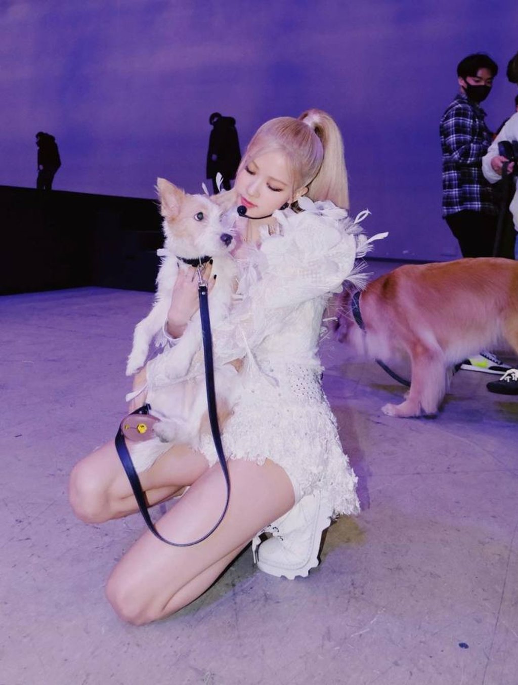 Blackpink’s Rosé adopted Hank from an animal shelter in Gangneung, South Korea. Photo: @roses_are_rosie_/Instagram Blackpink’s Rosé adopted Hank from an animal shelter in Gangneung, South Korea. Photo: @roses_are_rosie_/Instagram