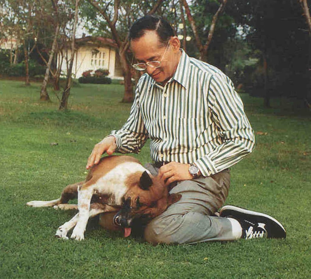 Thai King Bhumibol Adulyadej enjoys time with his favourite pet dog Tong Daeng in Bangkok, in 2002. Photo: Reuters Thai King Bhumibol Adulyadej enjoys time with his favourite pet dog Tong Daeng in Bangkok, in 2002. Photo: Reuters