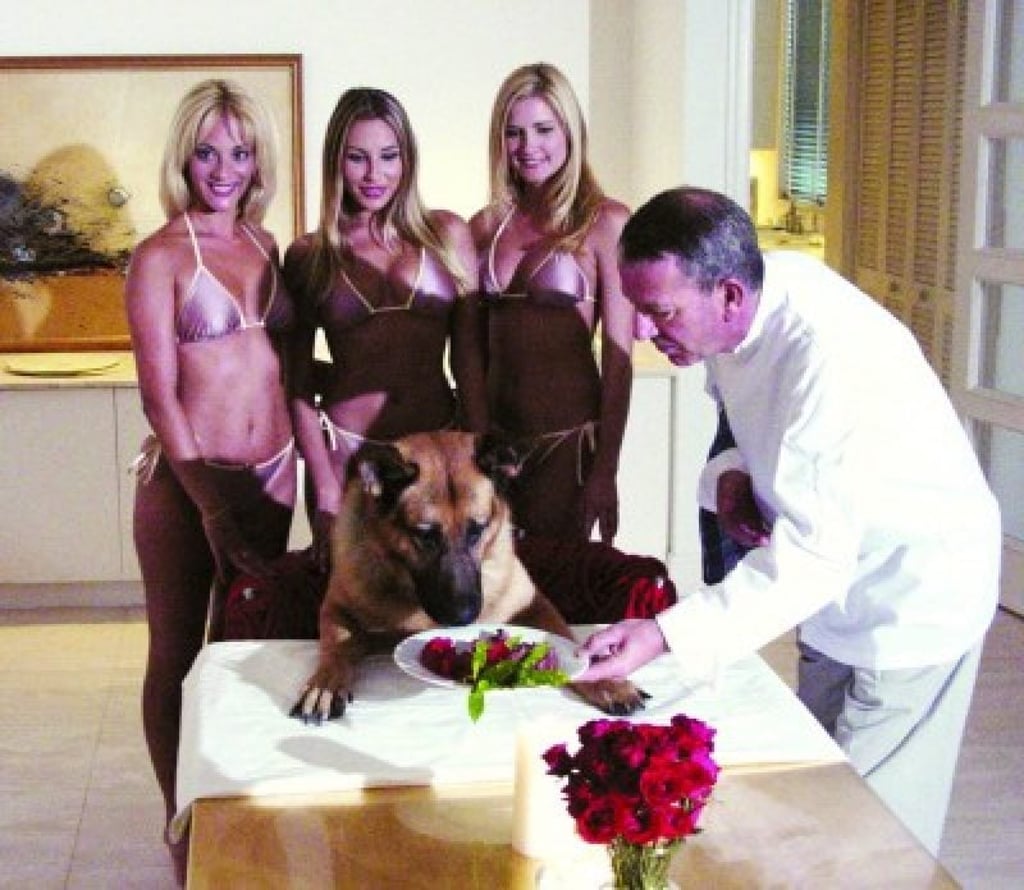 German shepherd Gunther enjoys a luxurious lifestyle indeed. Photo: animalfair.com