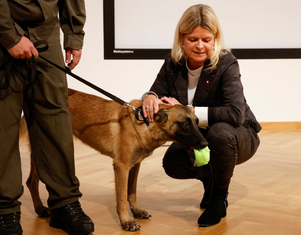 Austria’s Defence Minister Klaudia Tanner pets Fantasy, a sniffer dog trained to detect Covid-19. Photo: Reuters Austria’s Defence Minister Klaudia Tanner pets Fantasy, a sniffer dog trained to detect Covid-19. Photo: Reuters