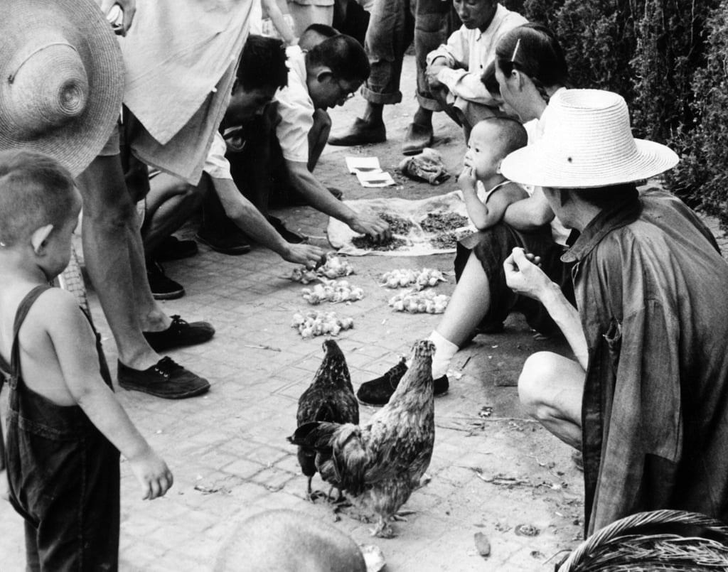 A hawker selling chickens, garlic and tobacco in China in the 1960s. For a long time Chinese had little appetite for eggs, and a lucrative export trade developed until it was halted by a UN trade embargo on Communist China. Photo: Getty Images