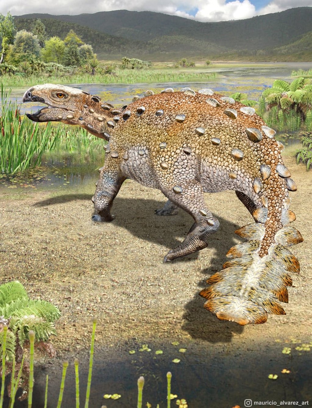The Stegouros’ back and sides were studded with bony structures called osteoderms that served as a coat of armour. Illustration: Mauricio Alvarez via AP