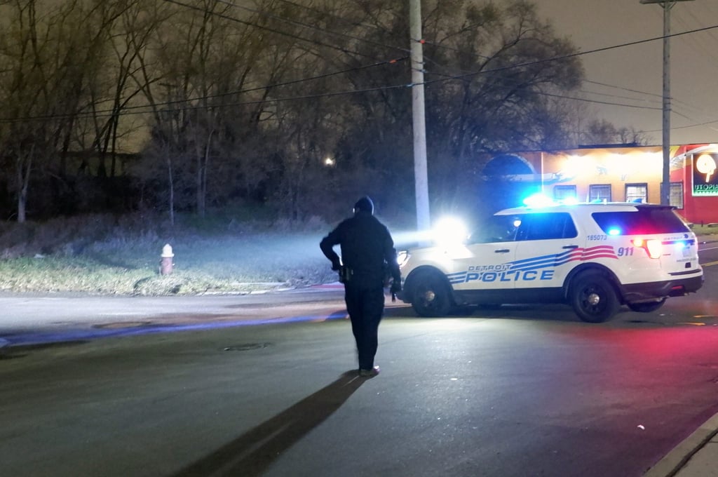 US parents of teen shooter who attacked Michigan school given US$1