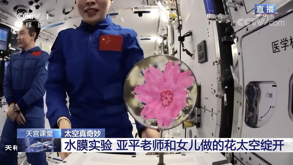 Chinese astronauts conduct experiments such as showing how a flower “blooms” in space. Photo: CCTV Chinese astronauts conduct experiments such as showing how a flower “blooms” in space. Photo: CCTV