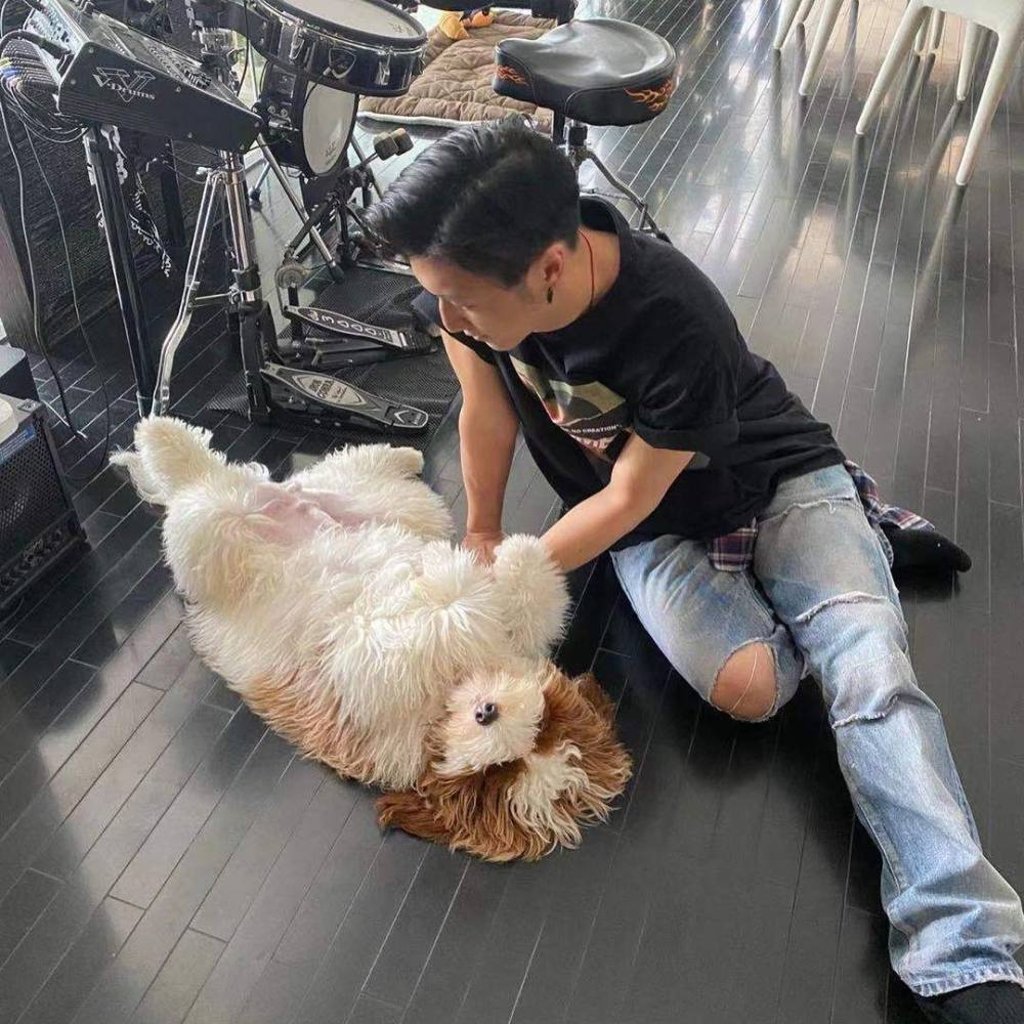 Nicholas Tse occasionally posts updates about his pets Miso, Dashi and Mustard on his Instagram page. Photo: @chefnicookies/Instagram Nicholas Tse occasionally posts updates about his pets Miso, Dashi and Mustard on his Instagram page. Photo: @chefnicookies/Instagram
