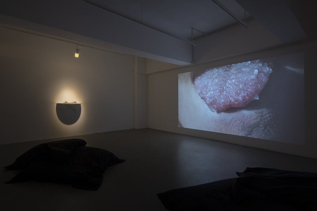 Hard Tongue on Pillow (2021) by Hou Lam Tsui in the “Noble Rot” exhibition at Para Site. Photo: Jeff Cheng Tsz Fung Hard Tongue on Pillow (2021) by Hou Lam Tsui in the “Noble Rot” exhibition at Para Site. Photo: Jeff Cheng Tsz Fung
