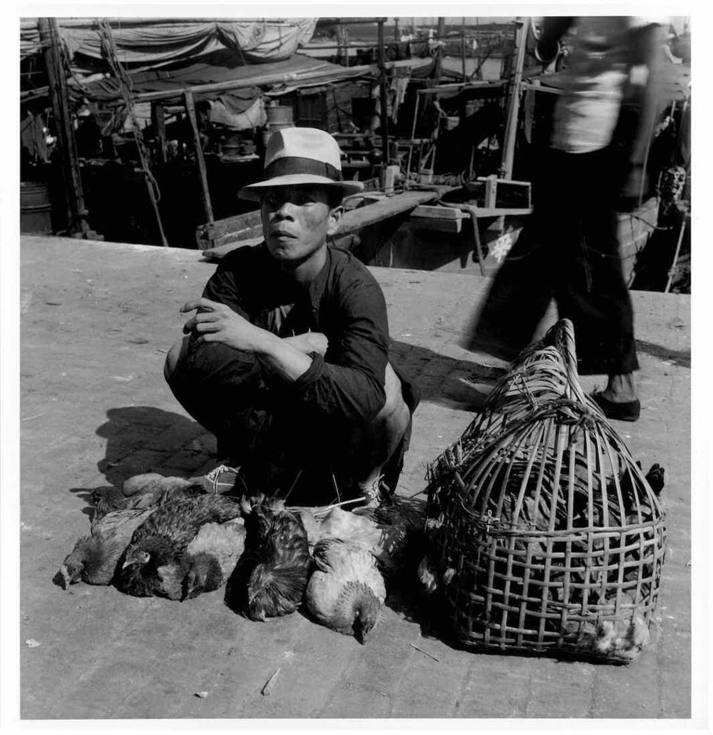 Hedda Morrison’s photo of a hawker waiting to make a sale. Some of his chickens are tied up with the grass string used by traders, others are in a split-bamboo poultry carrier. Photo: courtesy of the President and Fellows of Harvard College Hedda Morrison’s photo of a hawker waiting to make a sale. Some of his chickens are tied up with the grass string used by traders, others are in a split-bamboo poultry carrier. Photo: courtesy of the President and Fellows of Harvard College