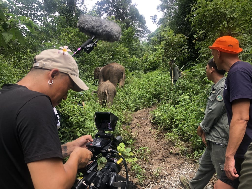 Dominic Johnson-Hill (right) with guide and a crew member filming in an elephant sanctuary in Yunnan for adventure documentary Seasons of China, during which he was kicked by an elephant calf. Photo: Dominic Johnson-Hill Dominic Johnson-Hill (right) with guide and a crew member filming in an elephant sanctuary in Yunnan for adventure documentary Seasons of China, during which he was kicked by an elephant calf. Photo: Dominic Johnson-Hill