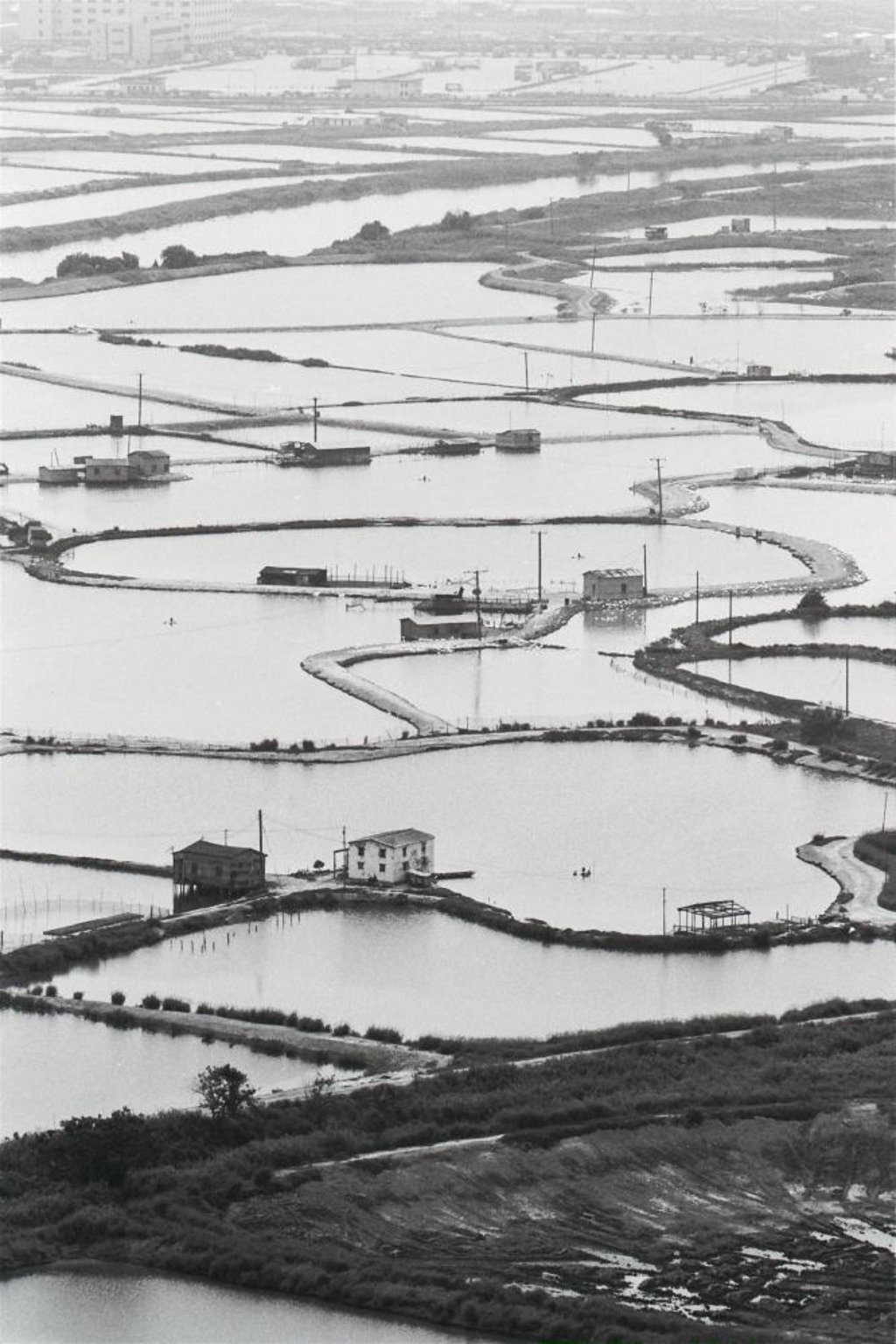 Fish ponds along the China-Hong Kong border in April, 1992.