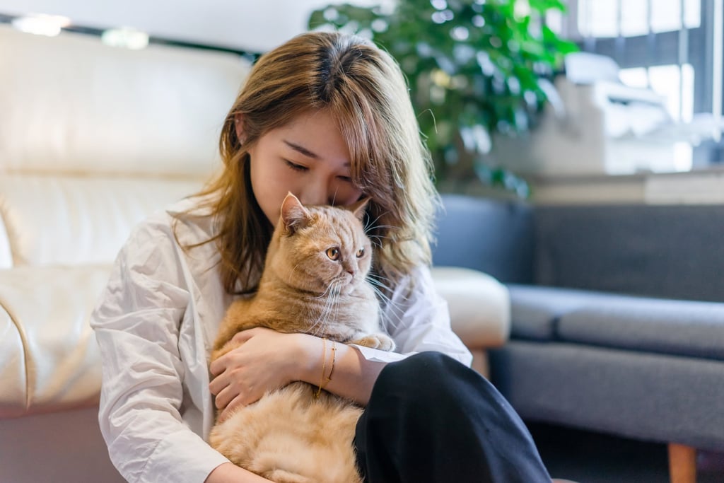 All hail our feline overlords: Cats prove way more popular than dogs in ...