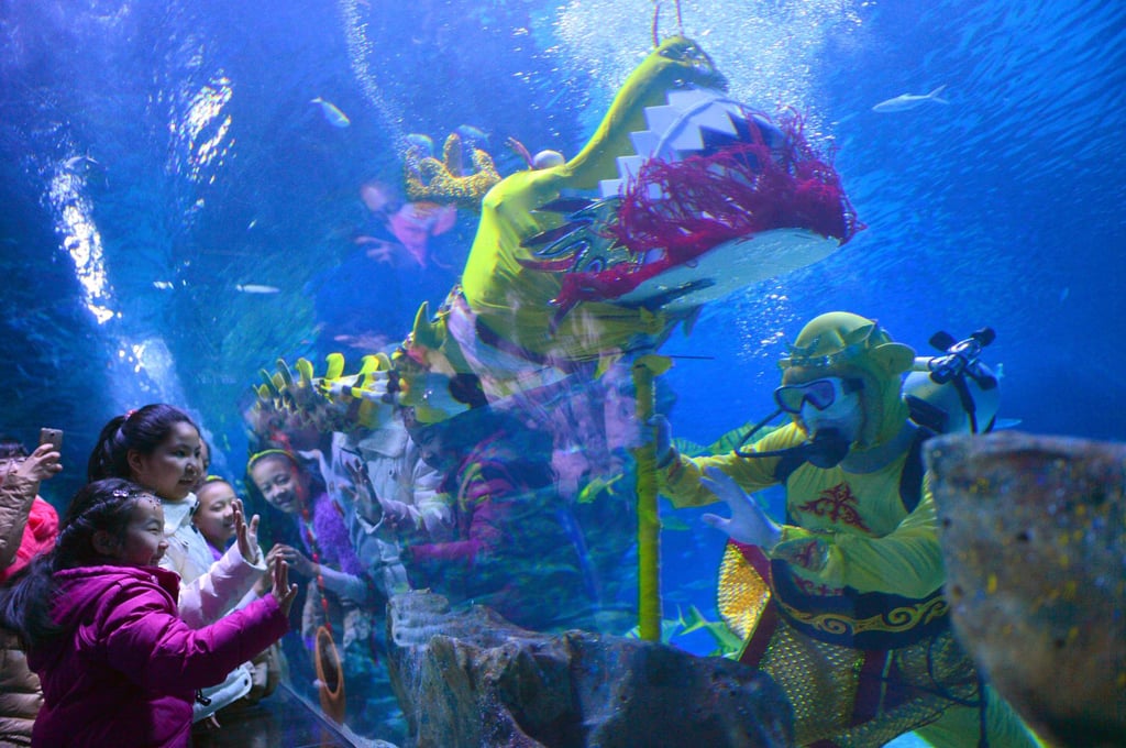 A diver in an aquarium at the Haichang Polar Ocean World in Tianjin on January 28, 2016. Photo: Xinhua