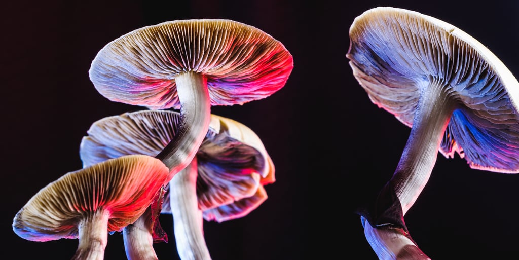 Drugs such as LSD and psilocybin – the psychedelic compound in magic mushrooms – are still banned in most countries. Photo: Getty Images Drugs such as LSD and psilocybin – the psychedelic compound in magic mushrooms – are still banned in most countries. Photo: Getty Images