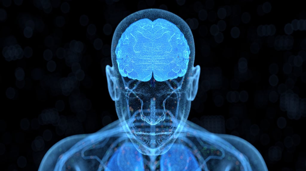 The creation of brain cells does not stop when we get older, and the brain can make new cells and forge new neural connections at any age. Photo: Getty Images The creation of brain cells does not stop when we get older, and the brain can make new cells and forge new neural connections at any age. Photo: Getty Images