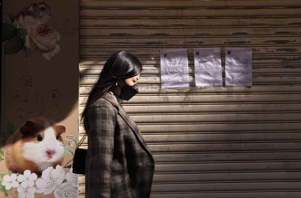 The Little Boss pet shop in Causeway Bay. Photo: Nora Tam