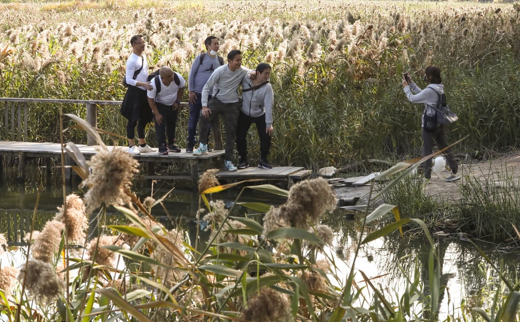 Visitors enjoy a trip to the wetlands. Photo: Jonathan Wong