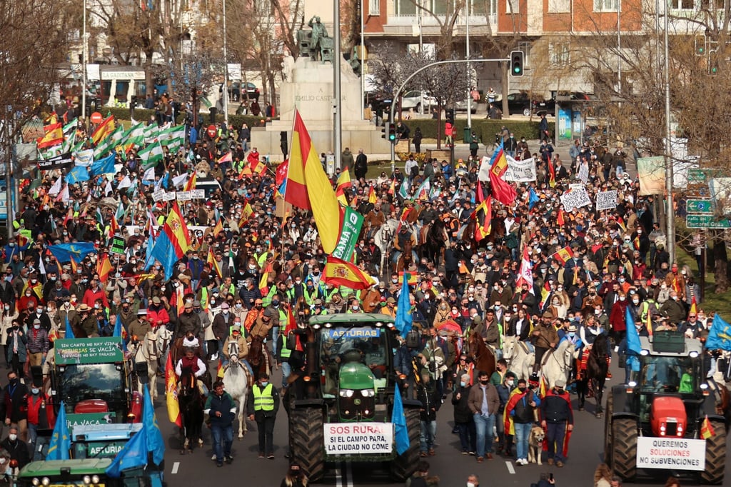 Farmers take part in a protest to raise awareness about the crisis caused by the coronavirus pandemic in Madrid, Spain on January 23. Photo: Reuters