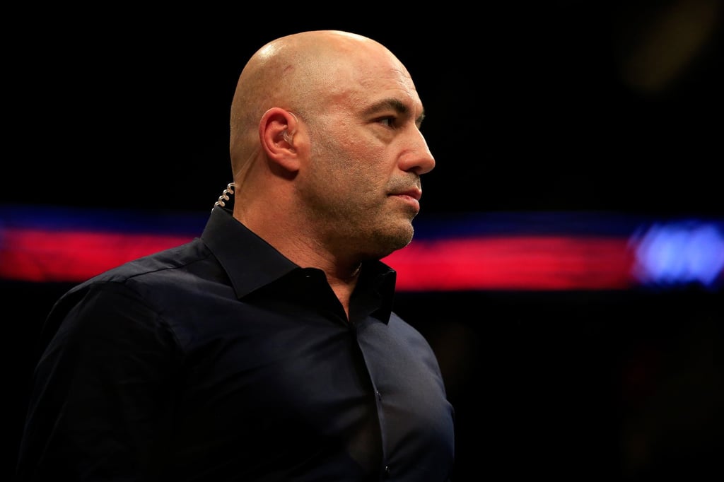 Joe Rogan, shown here in 2015 in New Jersey, took to Instagram on February 5 to make an apology about his previous use of the N-word. Photo: Getty Images/TNS