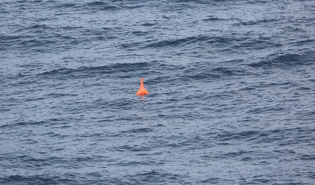 The Chinese defence ministry says an Australian patrol aircraft carried out close surveillance and dropped sonobuoys in waters near Chinese warships as “provocative actions”. Source: Twitter