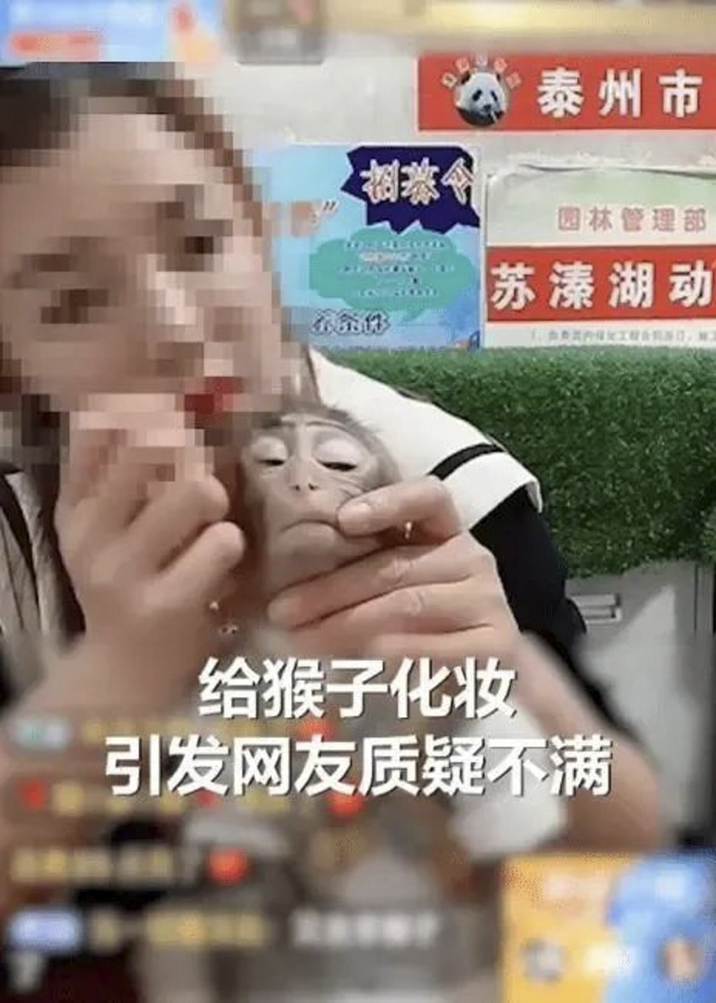 A horrified internet user reported the activity of the zoo staff. Photo: Handout A horrified internet user reported the activity of the zoo staff. Photo: Handout