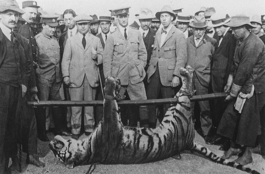 Policemen pose with the South China tiger shot in Sheung Shui, Hong Kong, in 1915 and believed responsible for the deaths of two officers. Photo: SCMP