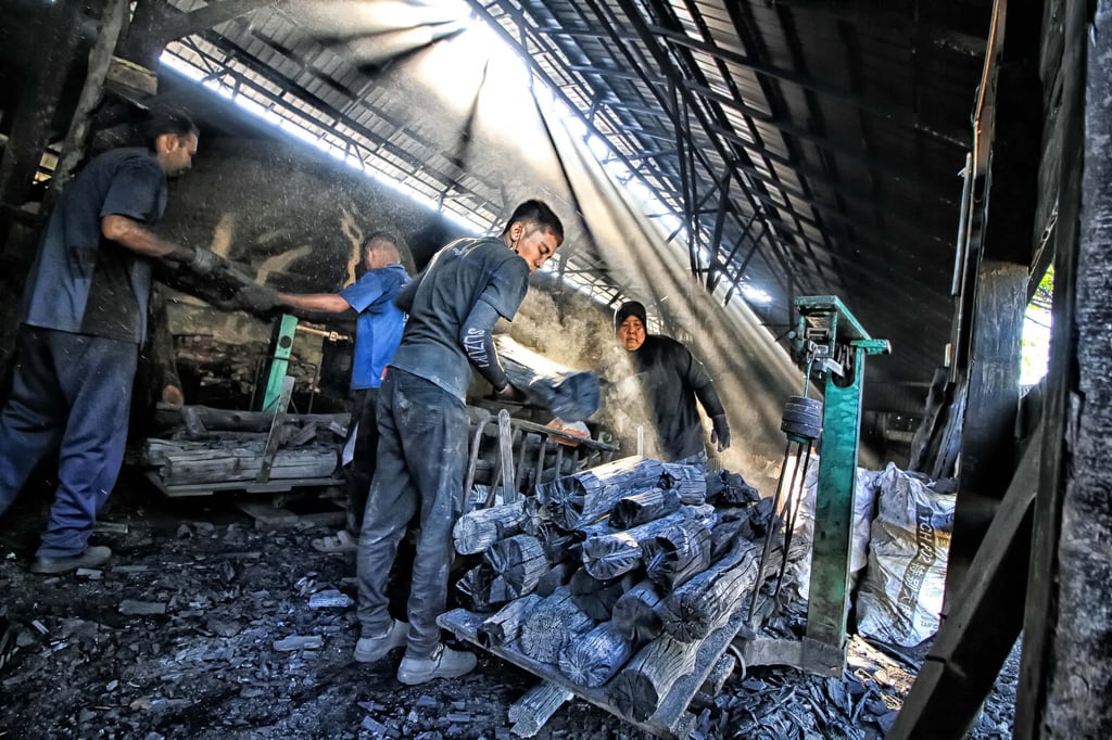 Charcoal is made the traditional way in Kuala Sepetang, using wood from the surrounding mangrove. Photo: Philippe Durant