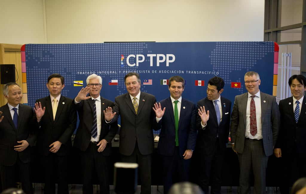 Officials from CPTPP members Vietnam, Singapore, Canada, Chile, Japan and New Zealand pose for a photo after a meeting in 2019. Photo: AP