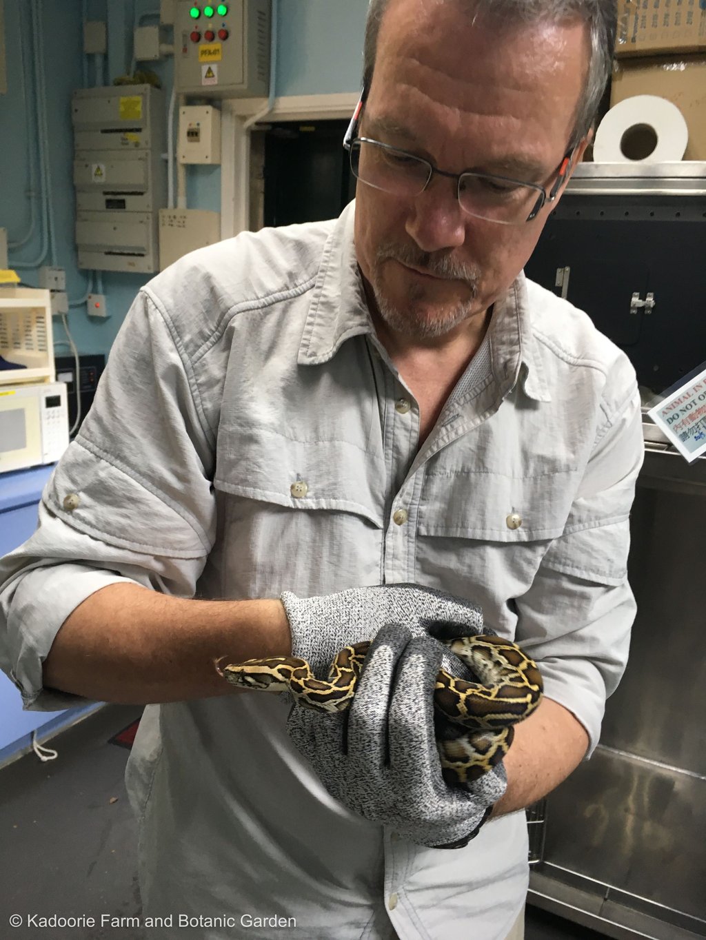 Gary Ades is head of Kadoorie Farm and Botanic Garden’s fauna conservation department. Photo: courtesy of KFBG