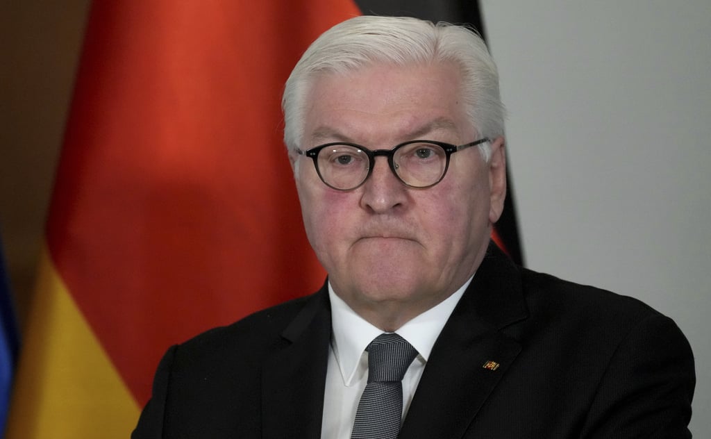 German President Frank-Walter Steinmeier. Photo: AP