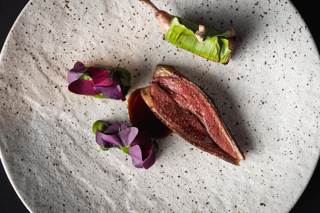 Mono’s Racan pigeon, yuca, chimichurri. Photo: handout Mono’s Racan pigeon, yuca, chimichurri. Photo: handout