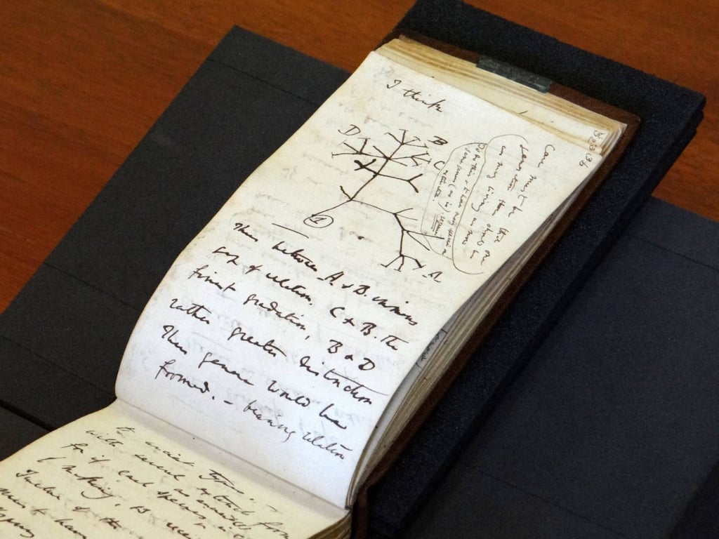 Two of Charles Darwin’s notebooks containing his pioneering ideas on evolution and his famous “Tree of Life” sketch have been returned anonymously after going missing for 21 years. Photo: Stuart Roberts/University of Cambridge/AFP Two of Charles Darwin’s notebooks containing his pioneering ideas on evolution and his famous “Tree of Life” sketch have been returned anonymously after going missing for 21 years. Photo: Stuart Roberts/University of Cambridge/AFP