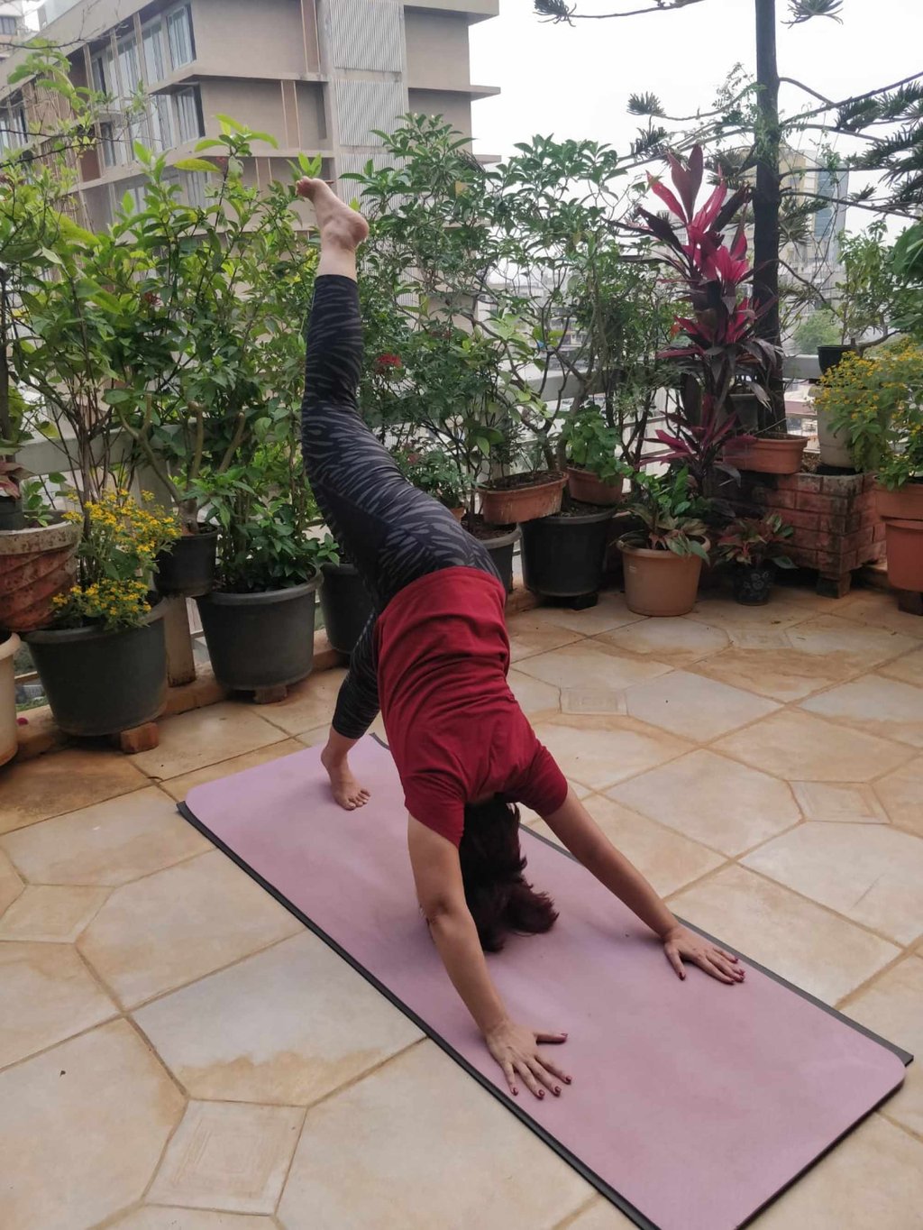 Animal flow bodyweight workouts that combine yoga gymnastics and breakdancing will have you crawling lunging stretching and tumbling like a child South China Morning Post