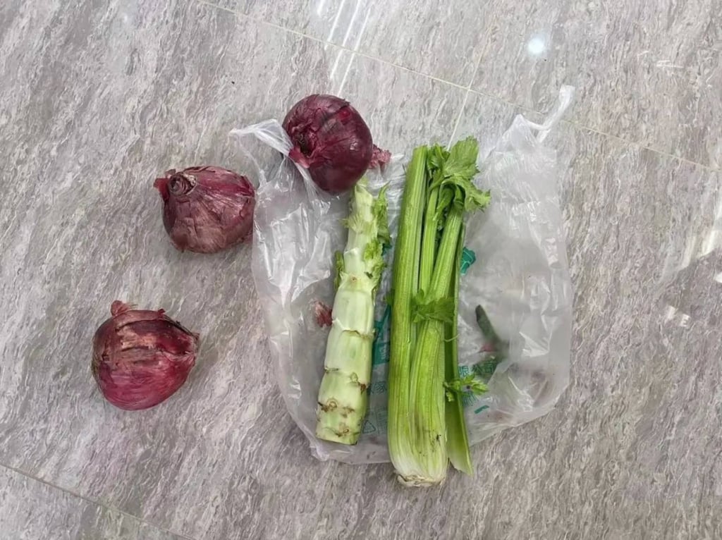 One of the spartan vegetable blind boxes Shanghaiers are trying to survive on. Photo: Handout