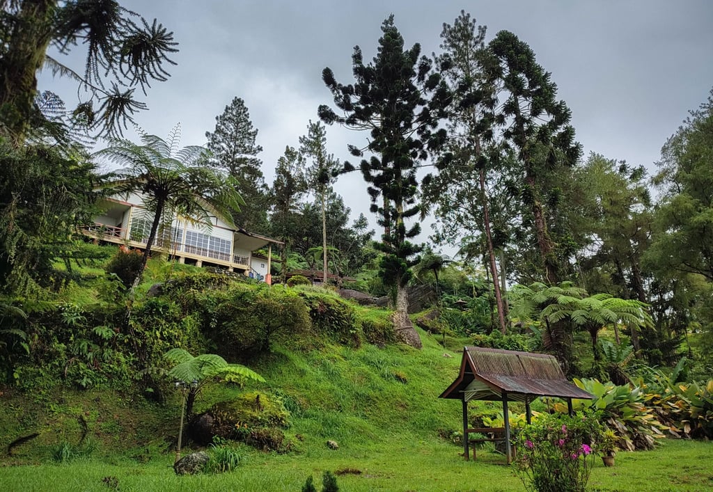 An old coffee house lies 1,036 metres up Maxwell Hill. Photo: Kit Yeng Chan