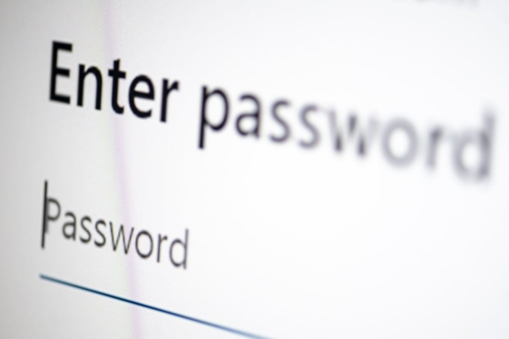 Password sharing sites are affecting the bottom line of streaming services. Photo: Fabian Sommer/dpa via Getty Images