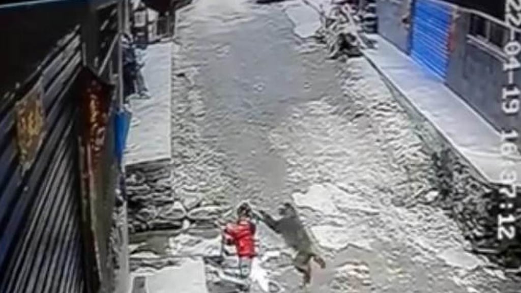 A monkey attacks a toddler outside her house in China. Photo: Baidu A monkey attacks a toddler outside her house in China. Photo: Baidu