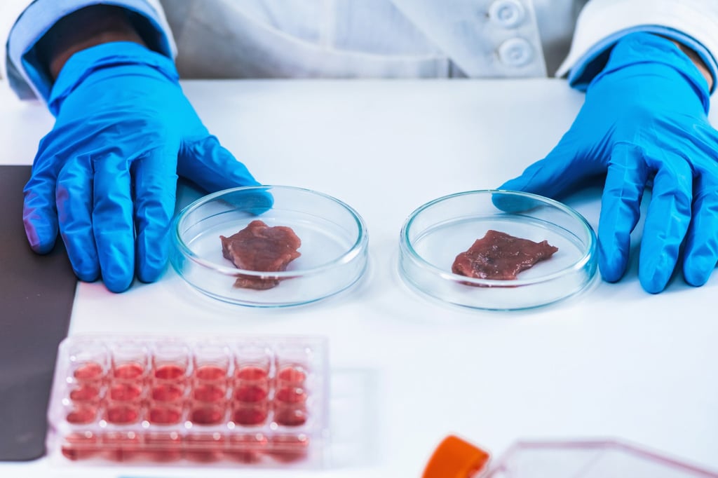 Two samples of lab-grown meat. Photo: Getty Images/iStockphoto