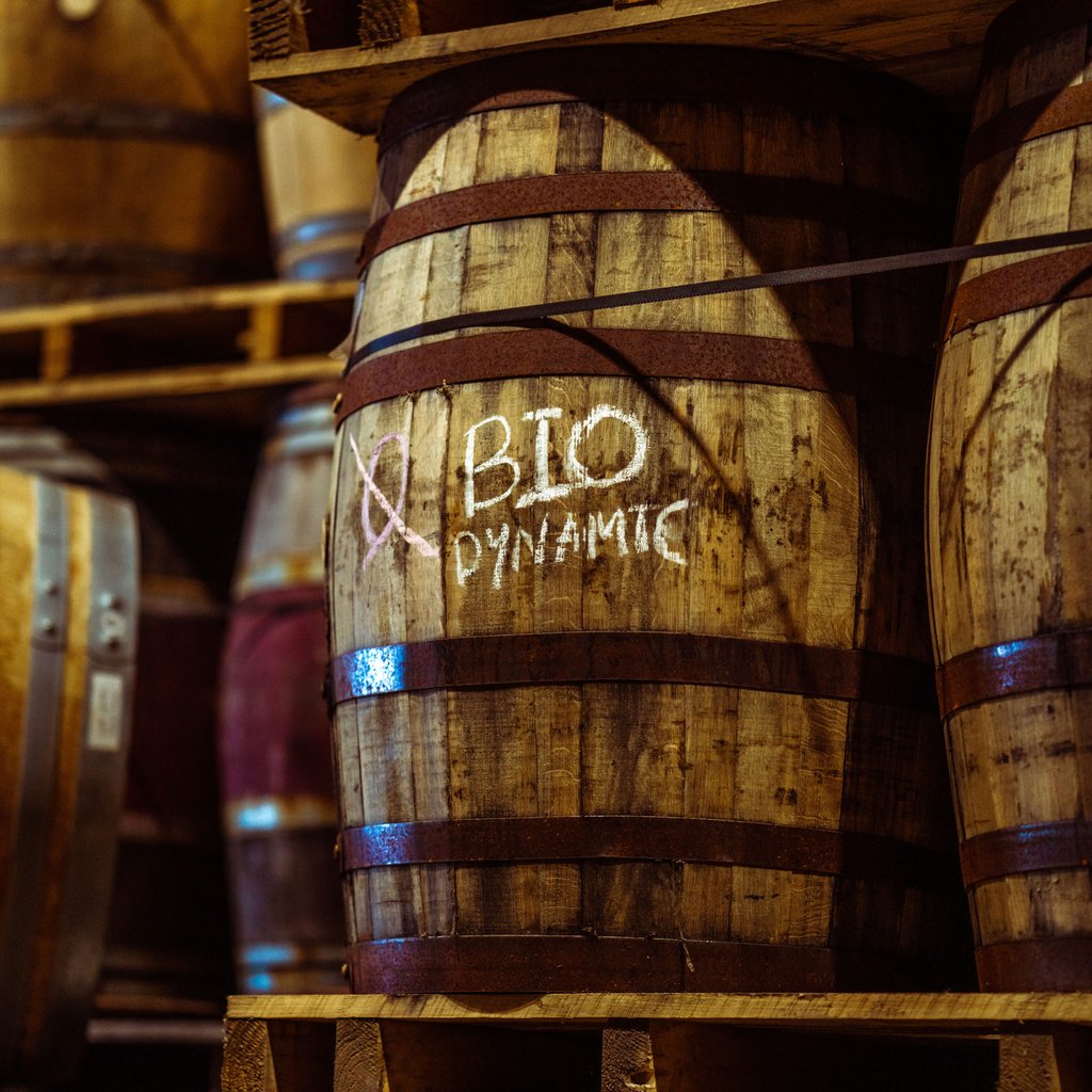 Waterford Distillery believe in barley, like wine, having a terroir. Photo: Waterford Waterford Distillery believe in barley, like wine, having a terroir. Photo: Waterford