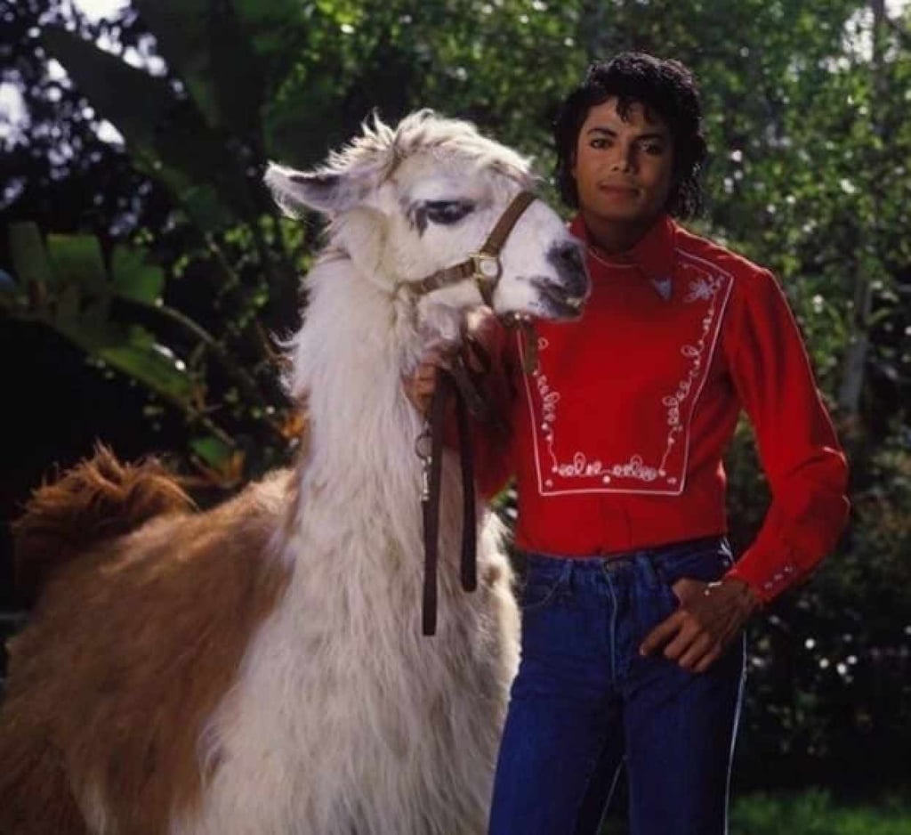 Michael Jackson was an avid animal-lover. Photo: @Wild Animal Awareness/Facebook Michael Jackson was an avid animal-lover. Photo: @Wild Animal Awareness/Facebook
